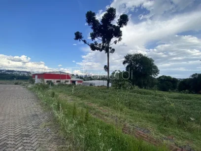 Foto Terreno