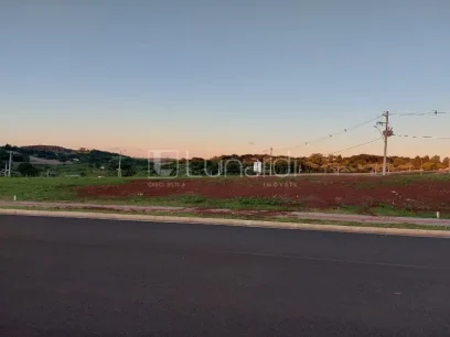 Foto Terreno