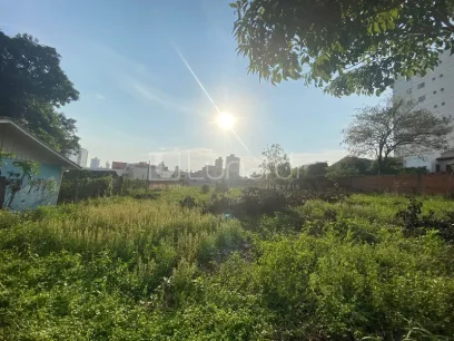Foto Terreno