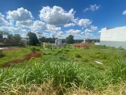 Foto Terreno