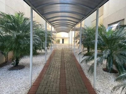 Foto Apartamento com 2 Dormitórios
