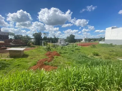 Foto Terreno