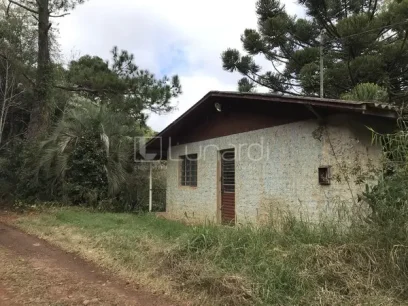 Foto Área