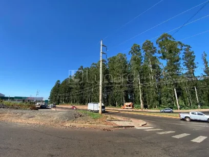 Foto Área