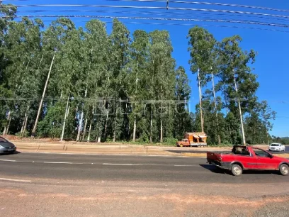 Foto Área