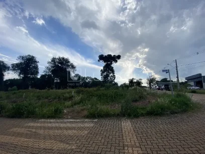 Foto Terreno