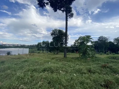 Foto Terreno
