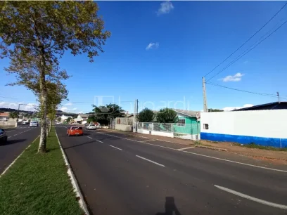 Foto Terreno