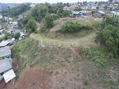 Foto Terreno