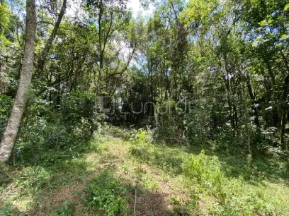 Foto Área