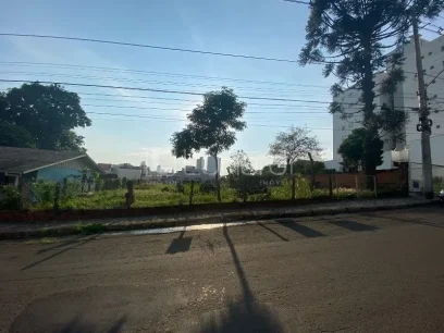 Foto Terreno