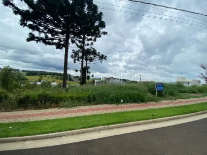 Foto Terreno