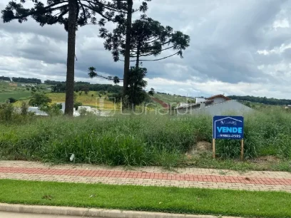 Foto Terreno