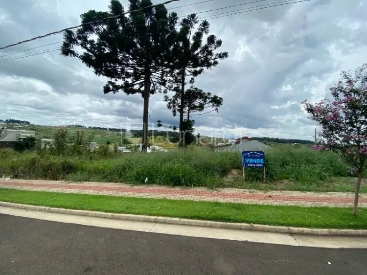 Terreno