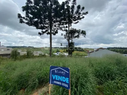 Foto Terreno