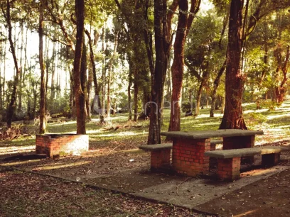 Foto Terreno