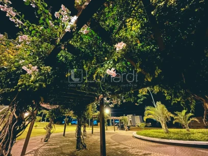 Foto Terreno