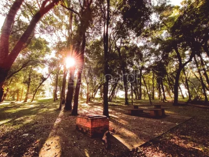 Foto Terreno