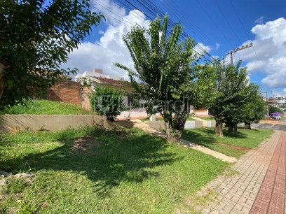 Foto Terreno