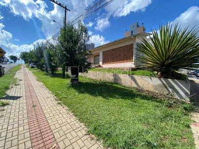 Foto Terreno