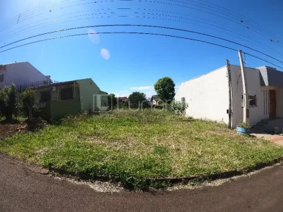 Foto Terreno