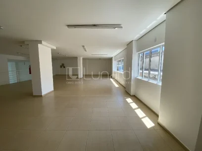Foto Sala Comercial