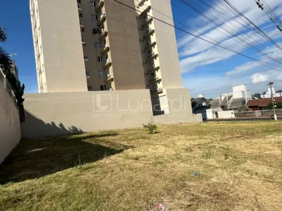 Foto Terreno