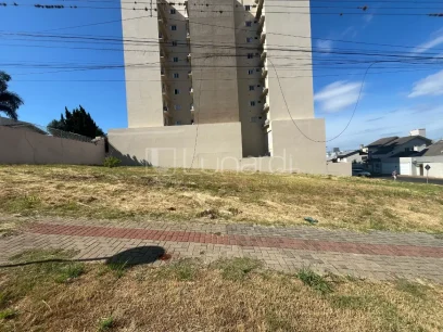 Foto Terreno