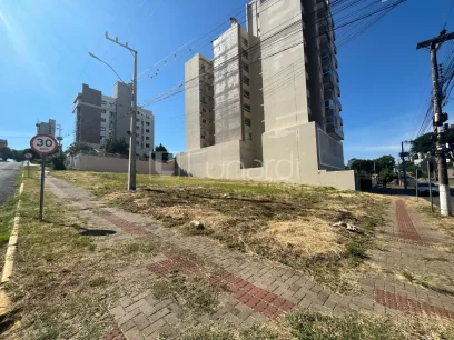 Foto Terreno
