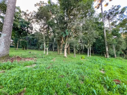 Foto Terreno