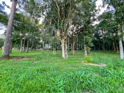 Foto Terreno