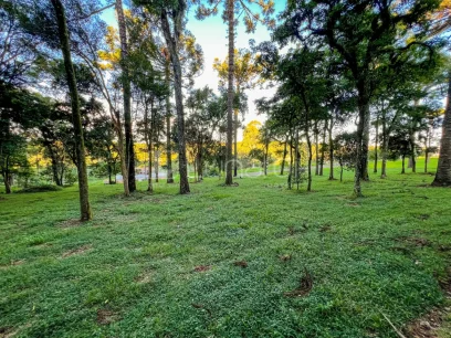 Foto Terreno