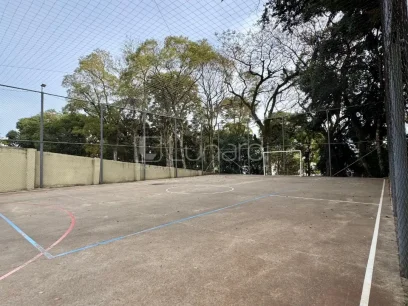 Foto Apartamento com 2 Dormitórios