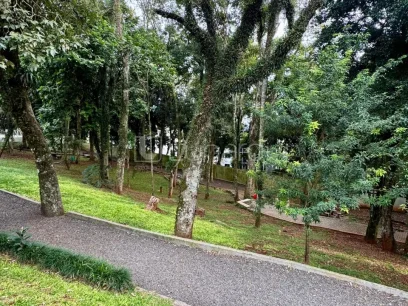 Foto Apartamento com 2 Dormitórios