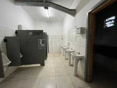 Foto Barracão