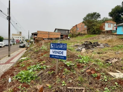 Foto Terreno