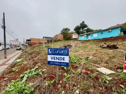 Foto Terreno