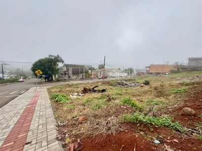 Foto Terreno