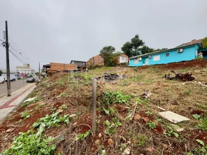 Foto Terreno