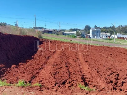 Foto Terreno