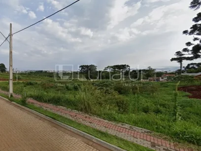 Foto Terreno