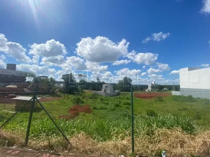 Foto Terreno