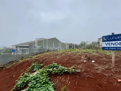 Foto Terreno