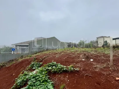 Foto Terreno