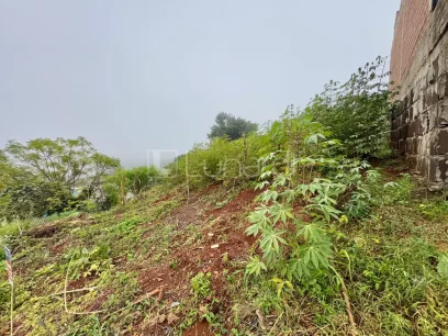 Foto Terreno
