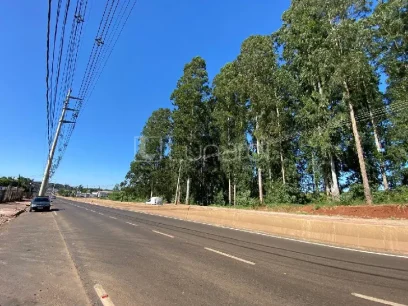 Foto Área