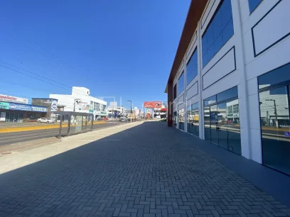 Foto Sala Comercial