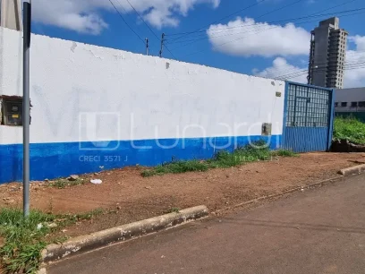 Foto Terreno