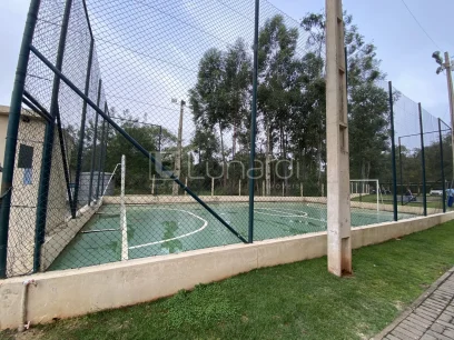 Foto Apartamento com 2 Dormitórios