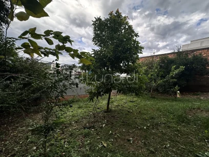 Foto Casa com 3 Dormitórios
